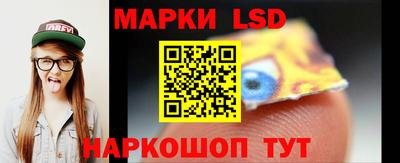прущие грибы Будённовск