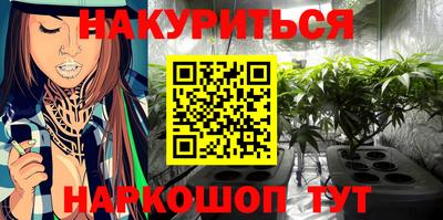 прущие грибы Будённовск