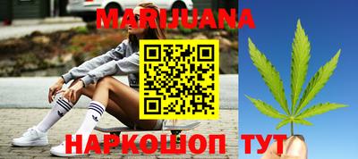 прущие грибы Будённовск